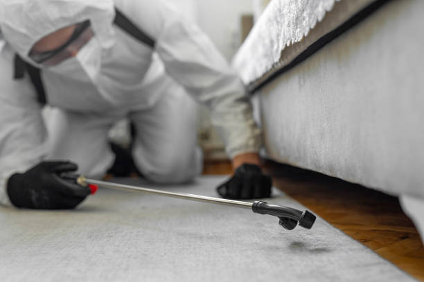 Professional Termite Control technician working in St. Bonifacius, MN