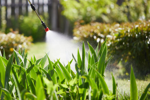 24/7 Emergency Termite Control experts in St. Bonifacius, MN