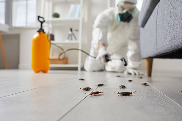 Trusted Rodent Control service in St. Bonifacius, MN - Nex Pest Control